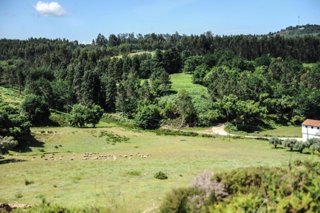Vumba Agroturismo Arganil Luaran gambar