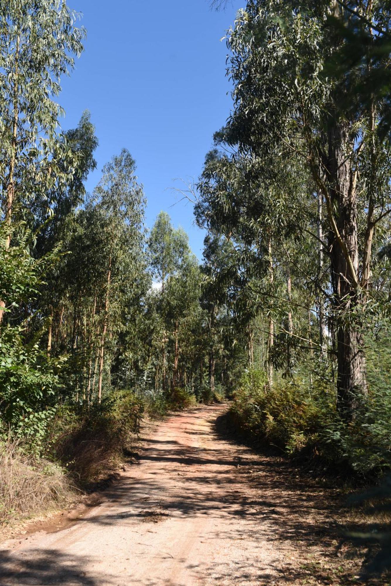 Vumba Agroturismo Arganil Luaran gambar